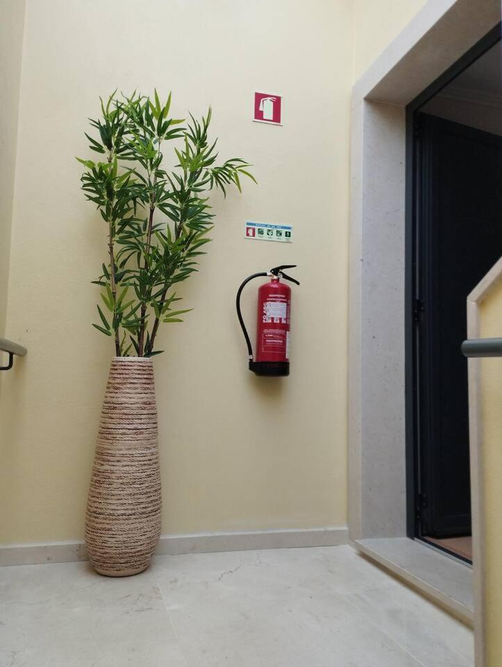 Casa Do Ribeiro Holiday home Chao de Couce